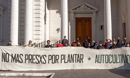 Las agrupaciones cannábicas de Santa Fe comenzaron a tener las primeras reuniones con algunos senadores provinciales para intentar acordar el tratamiento del proyecto que autoriza el autocultivo de cannabis con fines terapéuticos Las agrupaciones cannábicas de Santa Fe comenzaron a tener las primeras reuniones con algunos senadores provinciales para intentar acordar el tratamiento del proyecto que autoriza el autocultivo de cannabis con fines terapéuticos