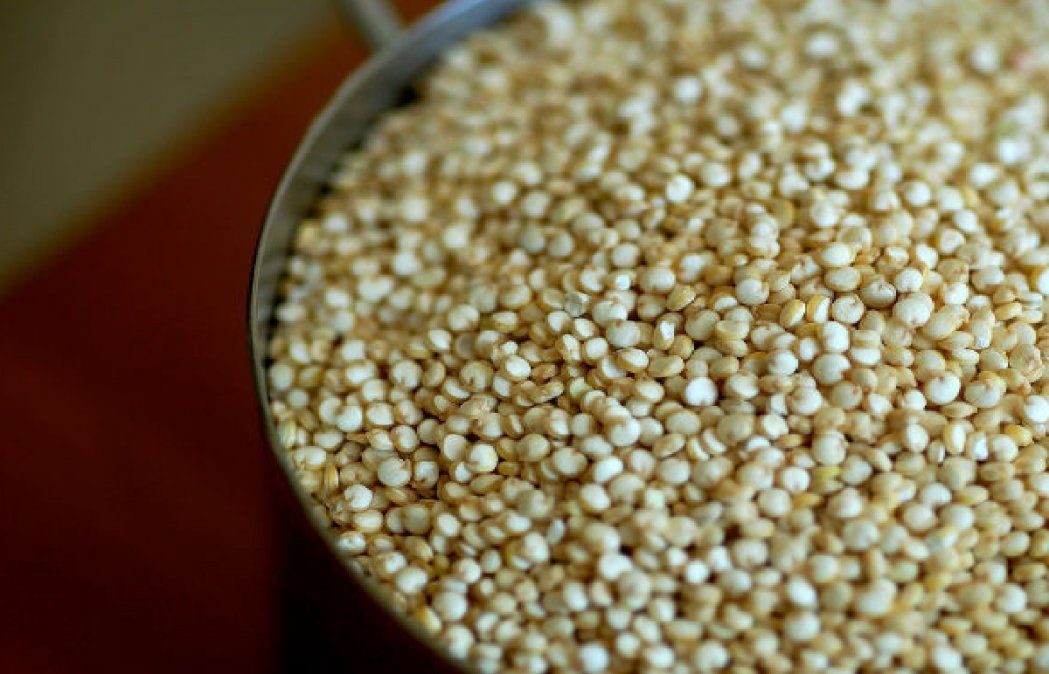 Quinoa. Quinoa.