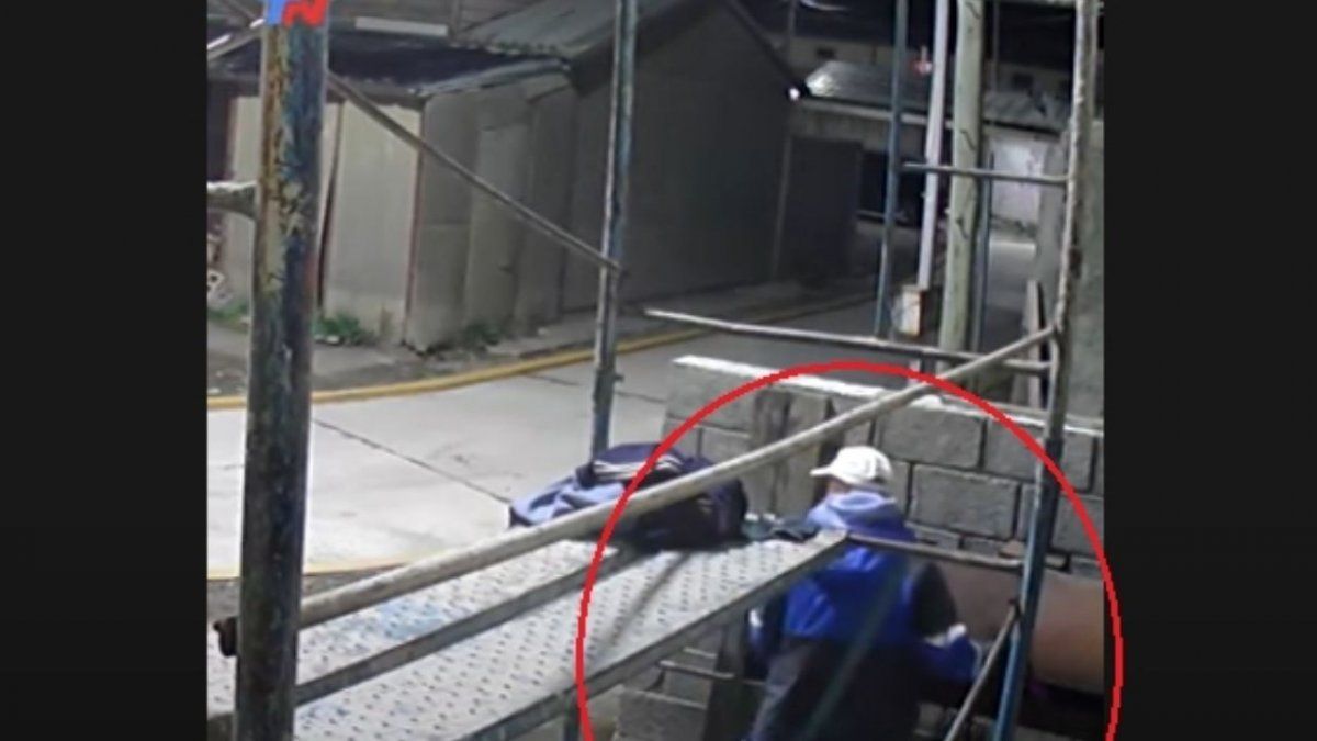 Video: aprovechó la distracción del anfitrión para robarse la carne de la parrilla