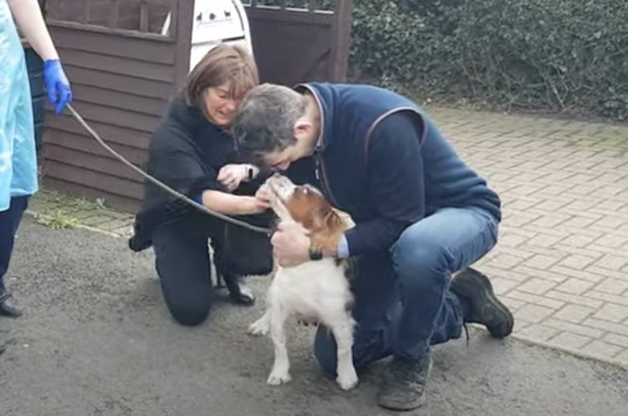 El reencuentro del matrimonio con Bonnie.