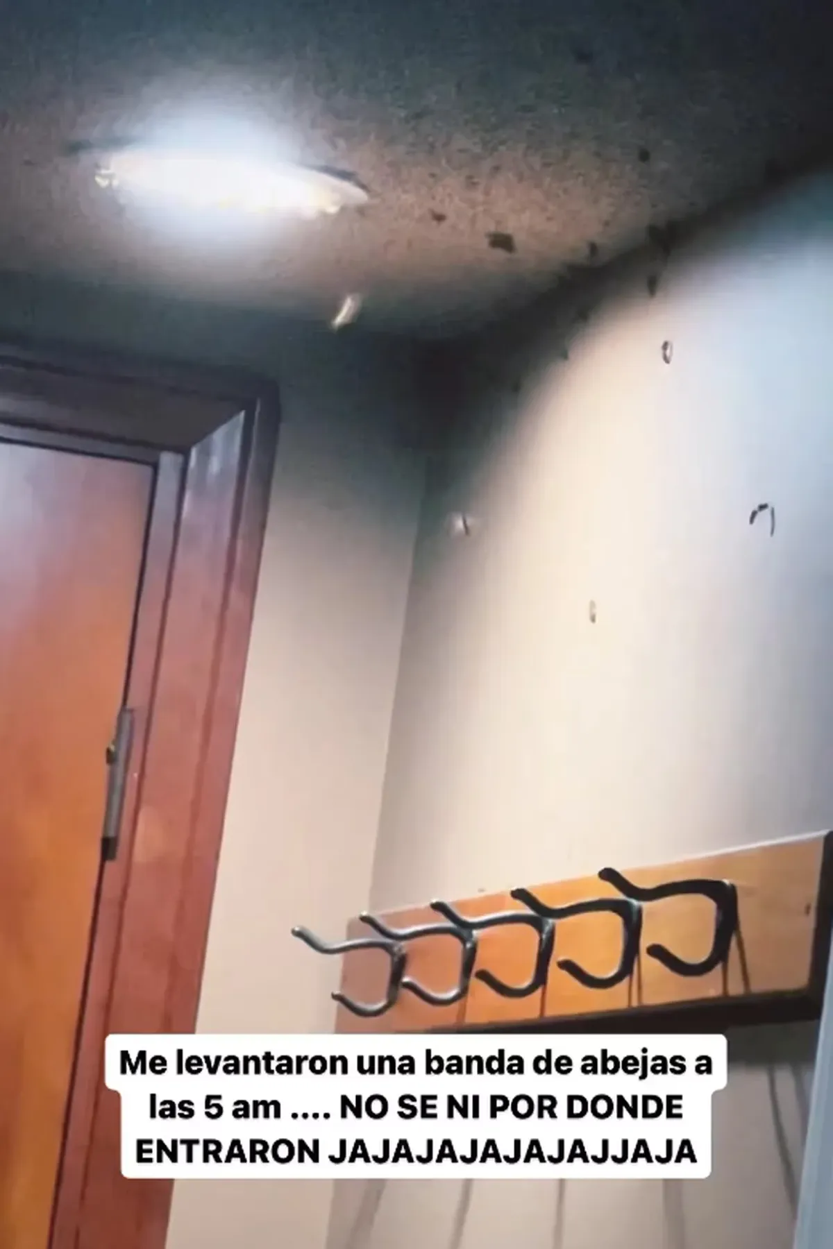 María Becerra compartió en sus redes sociales la terrorífica situación que vivió. María Becerra compartió en sus redes sociales la terrorífica situación que vivió.