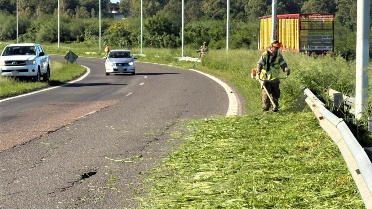 Personal de Vialidad Nacional realiza el corte de pasto manual en la Circunvalación Oeste.