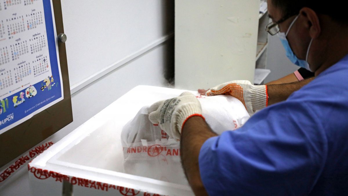 La ministra de Salud