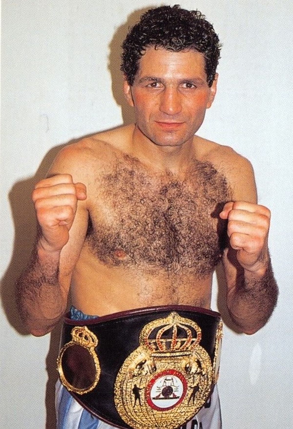 Entre 1982 y 1999, Látigo disputó 82 combates en el campo rentado, con un récord de 75-5-2 (44 ko). Fue monarca argentino welter junior en 1986, y tricampeón de la misma división reconocido por la Asociación Mundial de Boxeo AMB), reinando entre 1987 y 1990, 1993-1994 y 1996. Entre 1982 y 1999, Látigo disputó 82 combates en el campo rentado, con un récord de 75-5-2 (44 ko). Fue monarca argentino welter junior en 1986, y tricampeón de la misma división reconocido por la Asociación Mundial de Boxeo AMB), reinando entre 1987 y 1990, 1993-1994 y 1996.