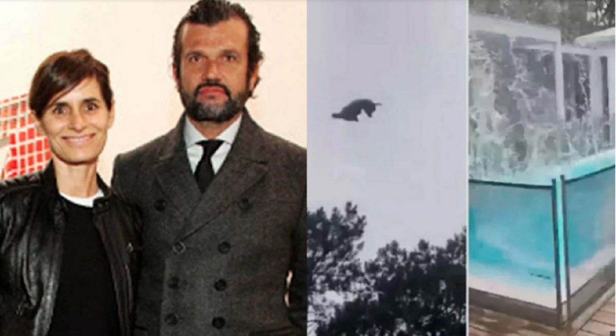 Fuerte comunicado de la marca fundada por la exmujer de Álvarez Castillo: Este hecho repudiable no nos sorprende