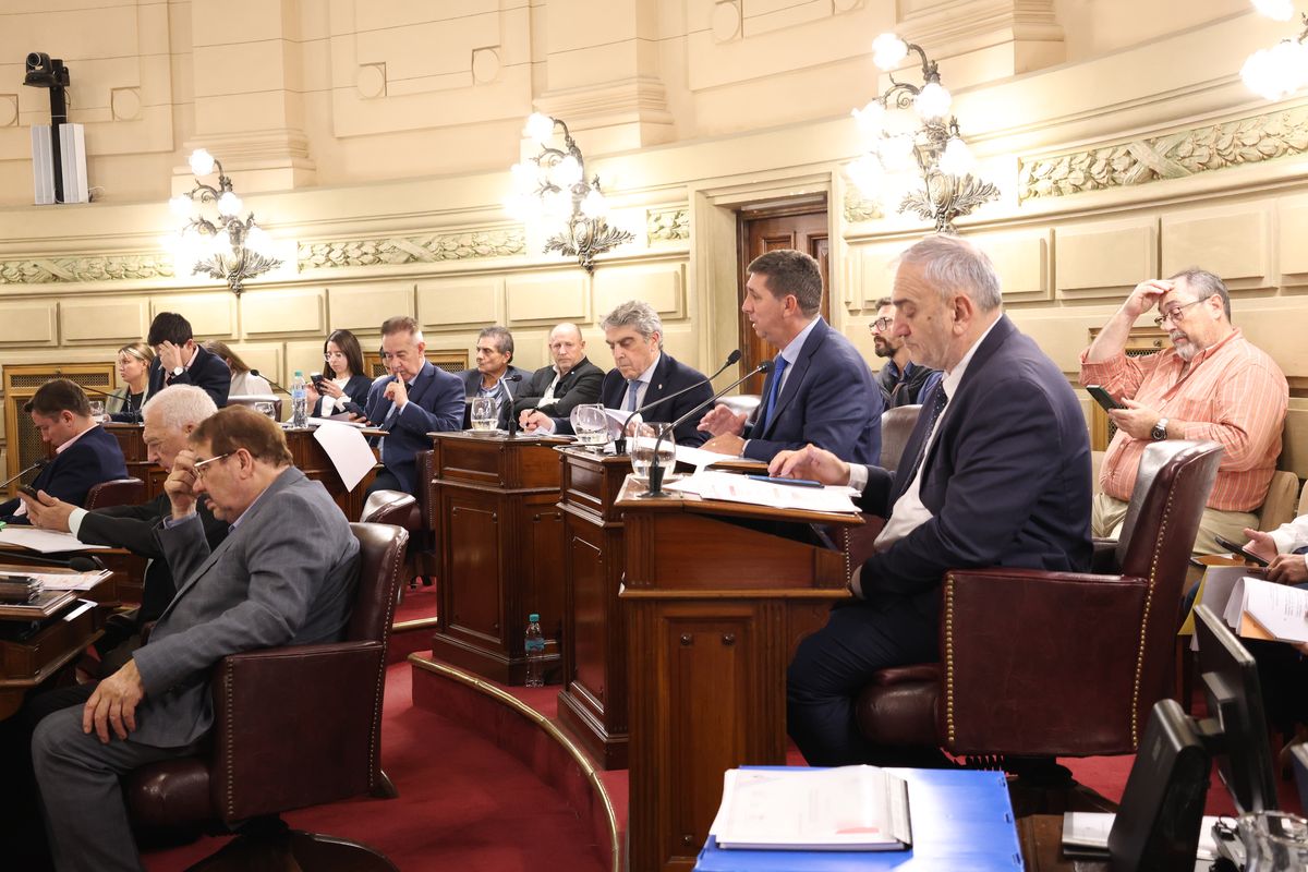 El rol de los municipios y comunas ser&aacute; clave: actuar&aacute;n como ejecutores de las obras a trav&eacute;s de aportes no reintegrables que cubrir&aacute;n insumos y materiales. 