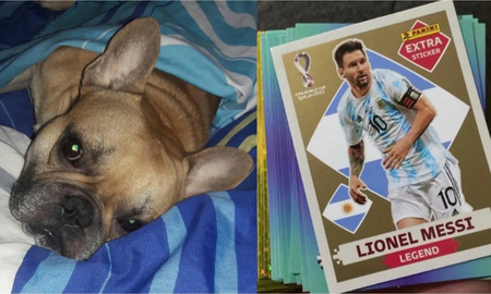 Un nene de siete años ofrece la figurita de Lionel Messi como recompensa para recuperar al perro de su amiga Un nene de siete años ofrece la figurita de Lionel Messi como recompensa para recuperar al perro de su amiga