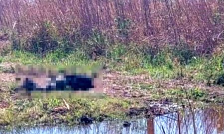 Víctor Hugo Salvatierra, de 28 años, es uno de los sospechosos de asesinar y decapitar a Pablo Almaraz en el mes de octubre. Víctor Hugo Salvatierra, de 28 años, es uno de los sospechosos de asesinar y decapitar a Pablo Almaraz en el mes de octubre.