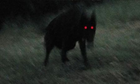 Misterio en Salta por la aparición de una supuesta criatura demoníaca que asolaría los cañaverales Misterio en Salta por la aparición de una supuesta criatura demoníaca que asolaría los cañaverales
