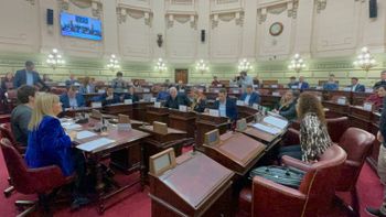 Religión, comida y derechos animales: otros ejes del debate por la reforma constitucional