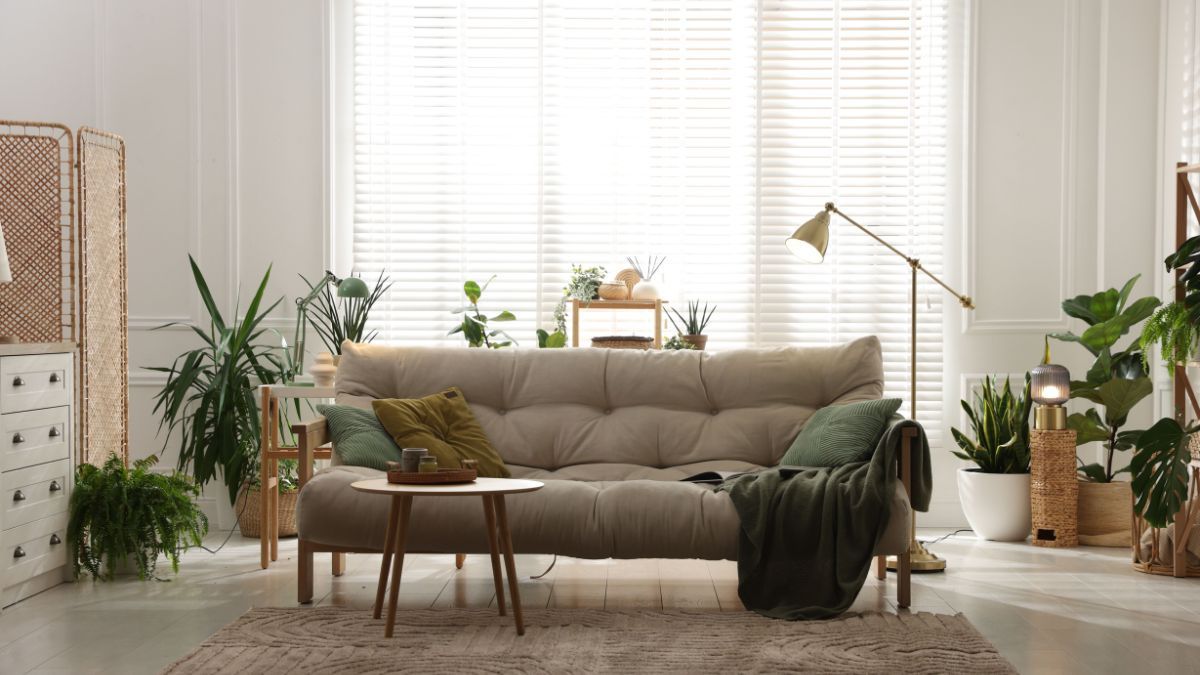 El error al poner el sillón del living que interrumpe el flujo de energía