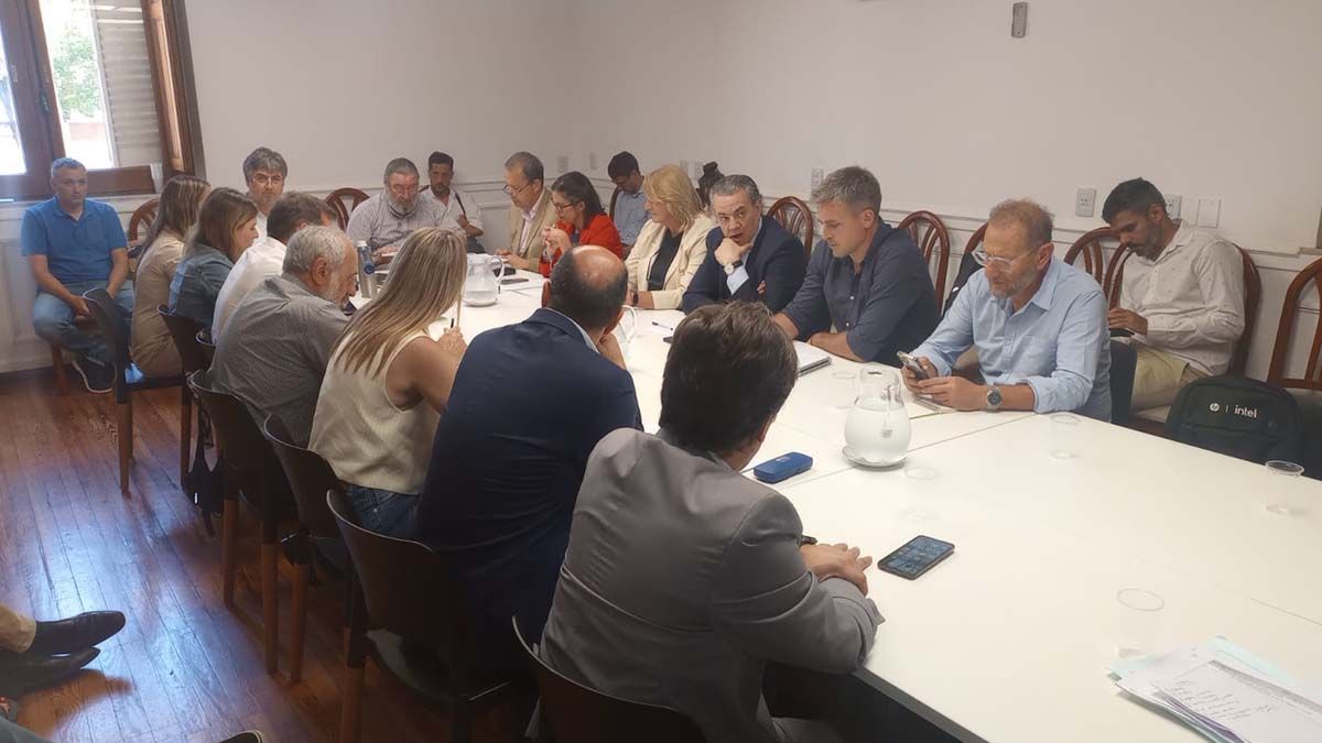 Entre los principales cambios que se piensan producir se destacan el endurecimiento de las condiciones para la prisión preventiva, la implementación de audiencias on line y el destino de los bienes decomisados al delito. Entre los principales cambios que se piensan producir se destacan el endurecimiento de las condiciones para la prisión preventiva, la implementación de audiencias on line y el destino de los bienes decomisados al delito.