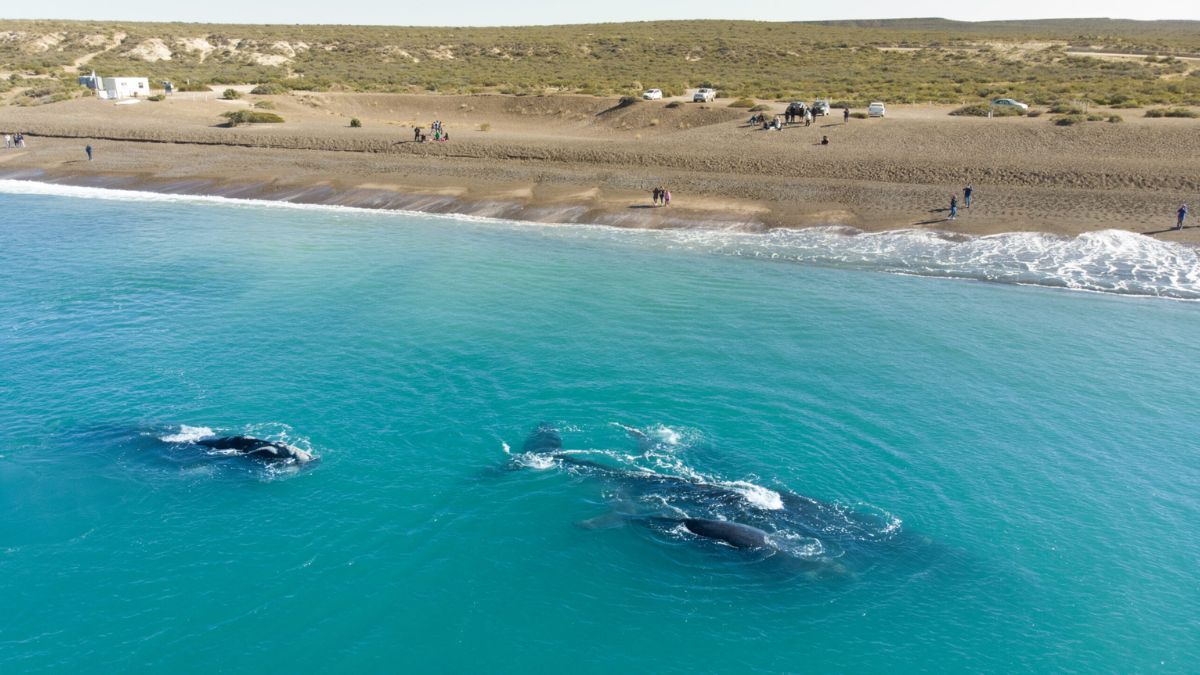 Escapada a una playa argentina de las mejores de Sudamérica. Escapada a una playa argentina de las mejores de Sudamérica.