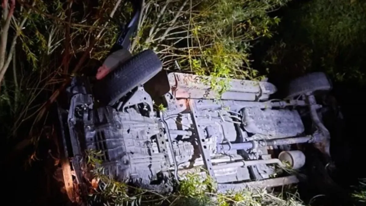 Los encontró en una cueva