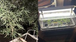 altText(Santa Fe: amenazó para pedir dinero, huyó y terminó detenido con marihuana en su vivienda)}