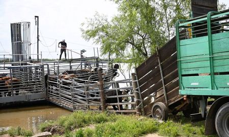 El acuerdo es resultado de gestiones gremiales orientadas a terminar con el monopolio de la Municipalidad de Victoria, que impone tarifas consideradas abusivas por los productores. El acuerdo es resultado de gestiones gremiales orientadas a terminar con el monopolio de la Municipalidad de Victoria, que impone tarifas consideradas abusivas por los productores.