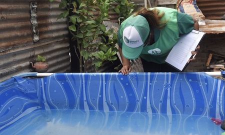 La Municipalidad de Santa Fe confirmó la presencia del mosquito Aedes aegypti, transmisor del dengue, en 30 barrios de la ciudad. La Municipalidad de Santa Fe confirmó la presencia del mosquito Aedes aegypti, transmisor del dengue, en 30 barrios de la ciudad.