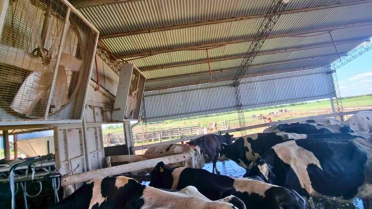 Implementar sombra natural o artificial en áreas clave