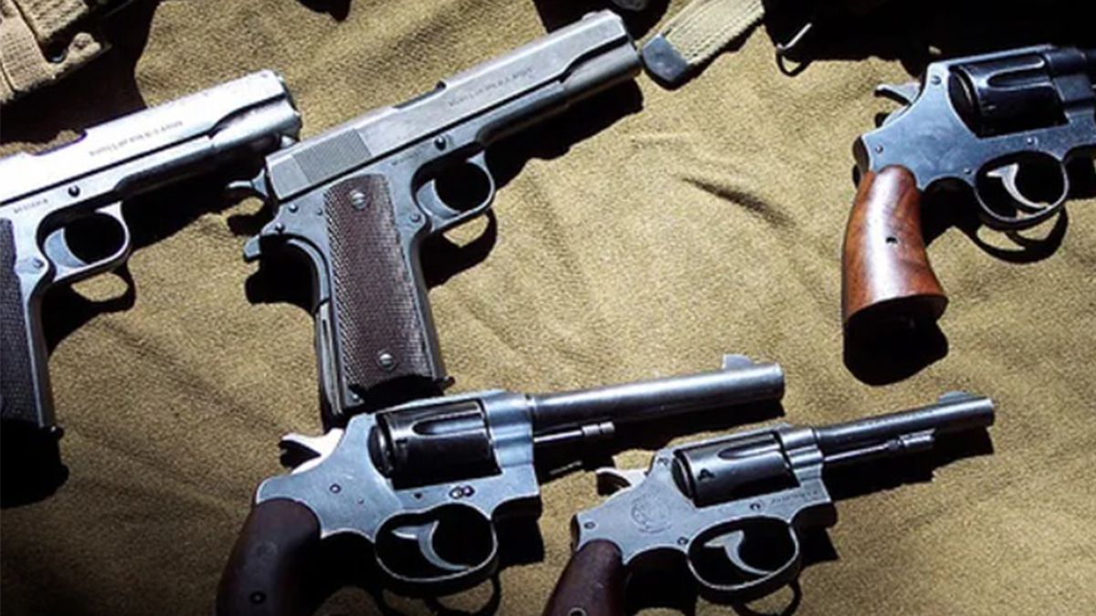Senado aprobó la ley de regularización y entrega voluntaria de armas hasta 2027 Senado aprobó la ley de regularización y entrega voluntaria de armas hasta 2027