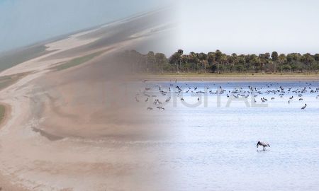 La laguna El Palmar hoy es un espejo de arena. La laguna El Palmar hoy es un espejo de arena.