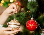 ¿cuanto cuesta armar el arbol de navidad?