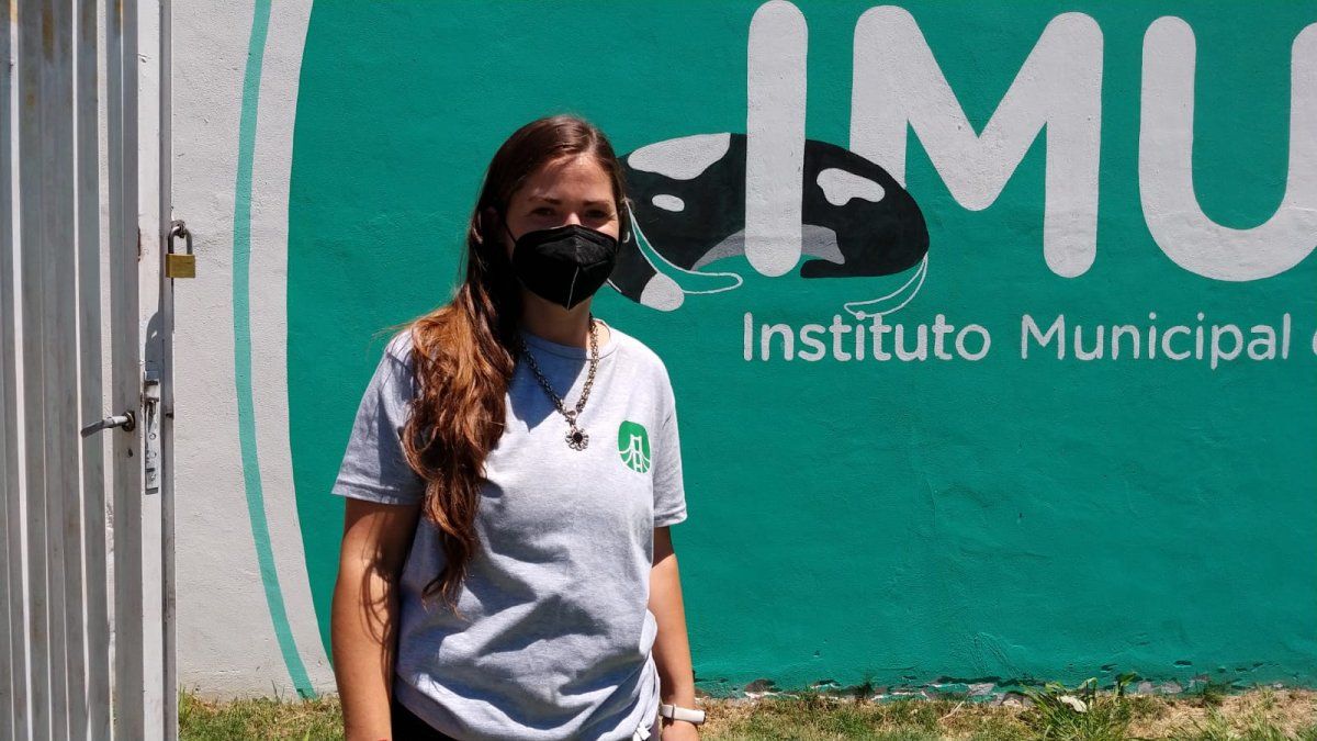 Anahí Montiel, directora del Imusa, contó que cuando llegaron al lugar se encontraron con la presencia de un perro brutalmente golpeado.