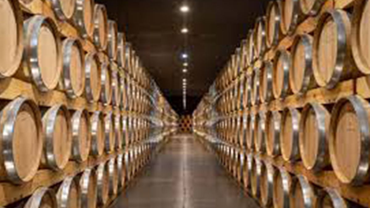 Argentina paga en promedio 5% de aranceles para acceder a los mercados como consecuencia de la falta de acuerdos internacionales. Argentina paga en promedio 5% de aranceles para acceder a los mercados como consecuencia de la falta de acuerdos internacionales.