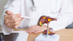 La detección temprana mediante ecografía permite identificar la esteatosis hepática metabólica antes de que se presenten complicaciones graves.