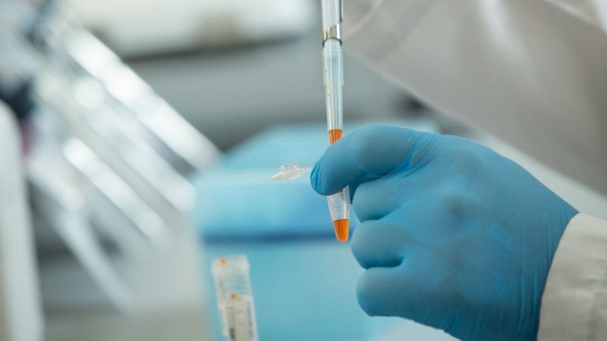 Los anticuerpos del suero equino hiperinmune neutralizan la capacidad del virus de entrar a las células.