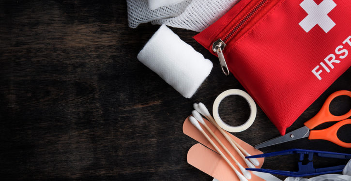 El Día Mundial de los Primeros Auxilios se creó en el año 2000 para invitar a los gobiernos de todo el mundo a divulgar la práctica y técnicas de primeros auxilios.