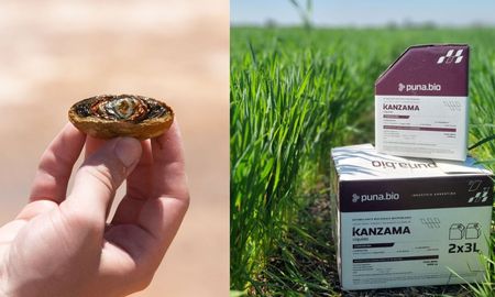 puna bio llega expoagro 2026 con biotecnologia extremofila para trigo y soja puna bio llega expoagro 2026 con biotecnologia extremofila para trigo y soja