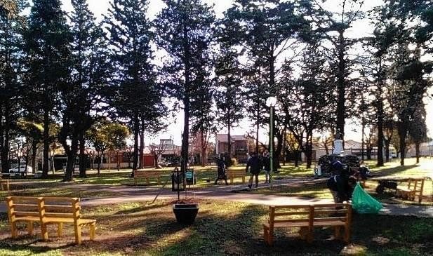 Vecinos denuncian que una mujer se alimenta de perros y gatos