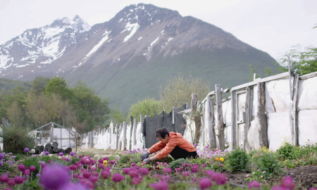 El jueves 8 de julio desde las 22.30 (Arg) llega Halmoni, un documental de 63 minutos de duración para conocer la historia de una inmigrante coreana que llegó a Argentina hace varias décadas para instalarse en Ushuaia, la ciudad más austral del mundo. El jueves 8 de julio desde las 22.30 (Arg) llega Halmoni, un documental de 63 minutos de duración para conocer la historia de una inmigrante coreana que llegó a Argentina hace varias décadas para instalarse en Ushuaia, la ciudad más austral del mundo.