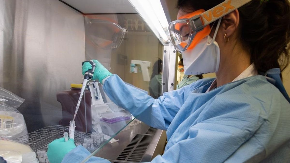 Logran un importante avance en el desarrollo de tests rápidos que buscan coronavirus