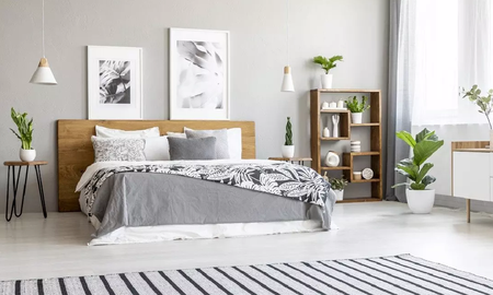 Las mejores plantas para tu dormitorio según el Feng Shui Las mejores plantas para tu dormitorio según el Feng Shui