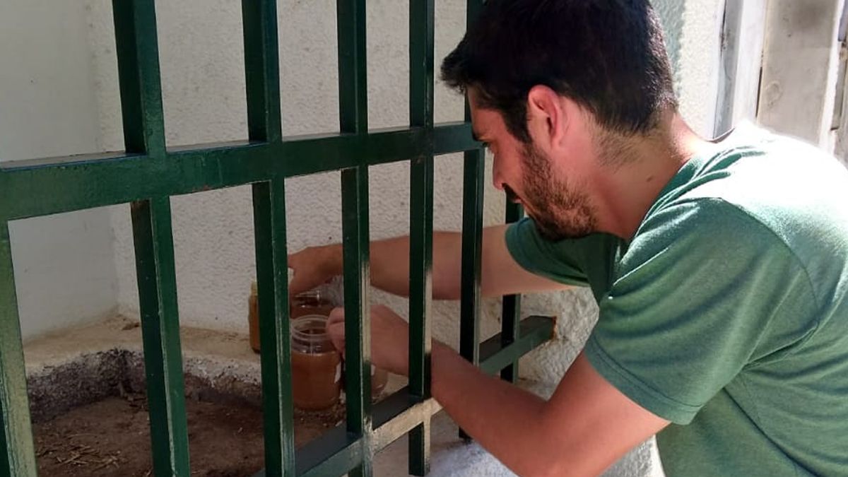 Las ovitrampas son una metodología de muestreo para el seguimiento del aedes aegypti y control de huevos.