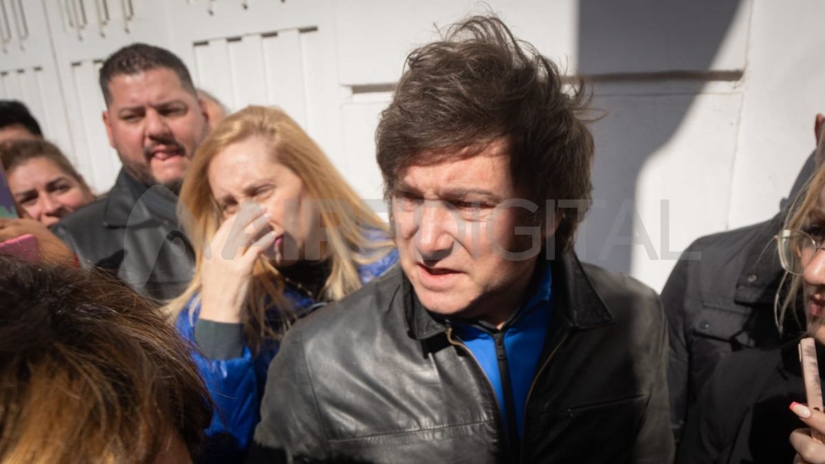Milei hablo acerca del apoyo incondicional de Macri y Bullrich