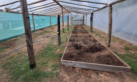 El invernadero fue descubierto por la PFA en la parte trasera del domicilio del hombre investigado: estaba vacío. El invernadero fue descubierto por la PFA en la parte trasera del domicilio del hombre investigado: estaba vacío.