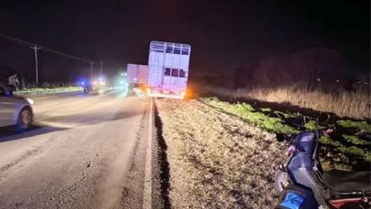 Accidente fatal en la Ruta 11: una santafesina cayó de una moto, la atropelló un camión y murió