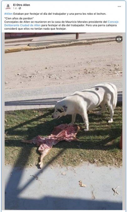 La historia ocurrió en Allen y se volvió viral en las redes. 