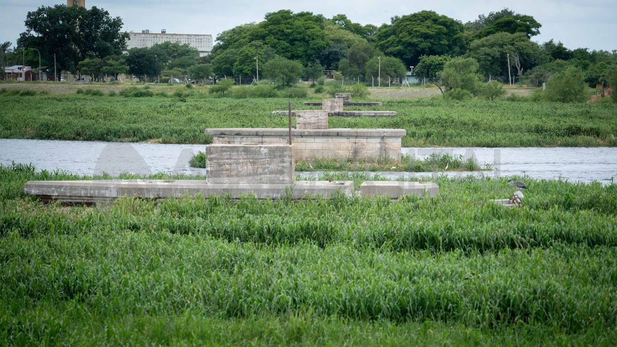 Imagen tomada el 21 de diciembre de 2023. Los pilotes con gran cantidad de agua y rodeados por el embalsado. Imagen tomada el 21 de diciembre de 2023. Los pilotes con gran cantidad de agua y rodeados por el embalsado.