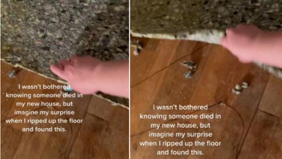 Video viral: se mudó a una casa donde alguien murió y encontró algo insólito en la alfombra.