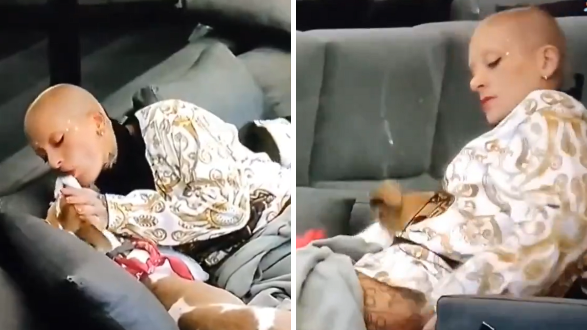 Arturo, el galgo de Gran Hermano, mordió una mama de Furia. Arturo, el galgo de Gran Hermano, mordió una mama de Furia. 