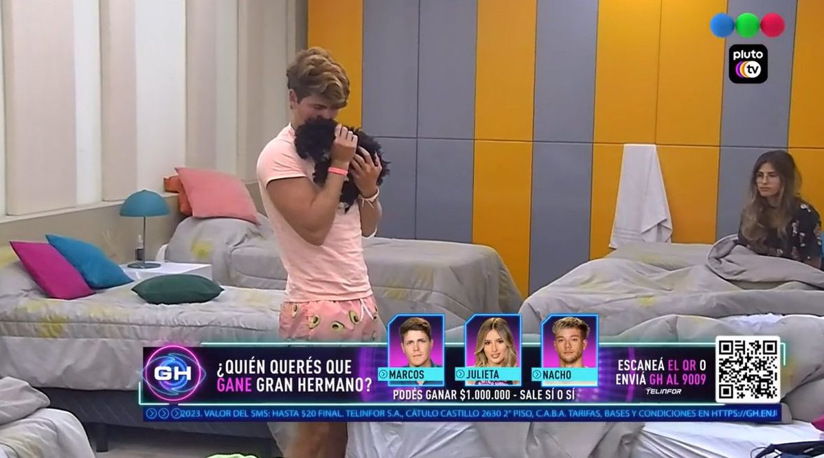 Marcos Ginocchio quiere adoptar a Mora, pero tiene miedo de que sufra por estar alejada de Caramelo, su hermano.