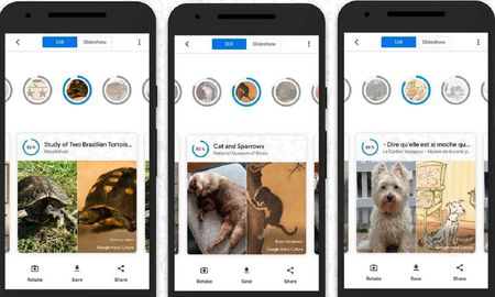 Una app permite encontrar el doble de tu mascota en obras de arte. Una app permite encontrar el doble de tu mascota en obras de arte.