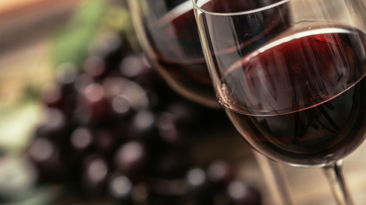 Una copa de vino tinto reduce tu estrés y ansiedad, no lo decimos nosotros, lo dice la ciencia