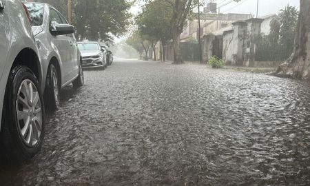 Luego del temporal, el municipio asegura que el sistema hídrico respondió y ya opera con normalidad, pese a anegamientos temporales en zonas críticas. Luego del temporal, el municipio asegura que el sistema hídrico respondió y ya opera con normalidad, pese a anegamientos temporales en zonas críticas.