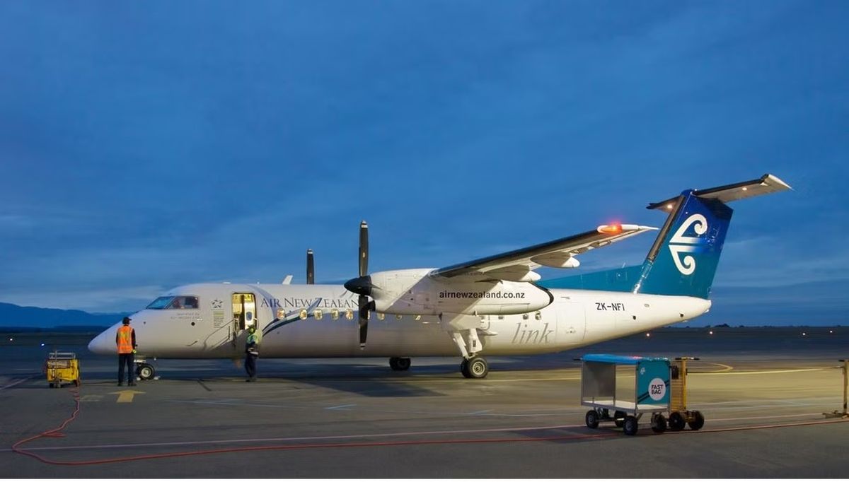 En Gisborne operan varias compañías comerciales y privadas. La más importante es Air New Zealand, que lo hace con los biturbohélices ATR-72 (configurados para 68 pasajeros) y los De Havilland Canada Dash 8 (también conocidos como Q300, de 50 plazas, en la foto) con seis vuelos diarios desde y hacia Auckland y Wellington. En Gisborne operan varias compañías comerciales y privadas. La más importante es Air New Zealand, que lo hace con los biturbohélices ATR-72 (configurados para 68 pasajeros) y los De Havilland Canada Dash 8 (también conocidos como Q300, de 50 plazas, en la foto) con seis vuelos diarios desde y hacia Auckland y Wellington.