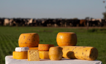 La Ruta del Queso integra a productores de leche de vaca, cabra y oveja, fomentando un modelo de turismo rural sustentable que beneficia directamente a las familias de la zona. La Ruta del Queso integra a productores de leche de vaca, cabra y oveja, fomentando un modelo de turismo rural sustentable que beneficia directamente a las familias de la zona.