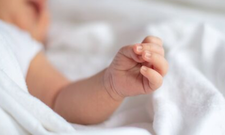 La familia todavía no radicó una denuncia formal por el hecho. La familia todavía no radicó una denuncia formal por el hecho.